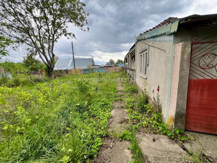 Casa + teren 4430 mp, vie si pomi fructiferi, 22 km de Tecuci - 22