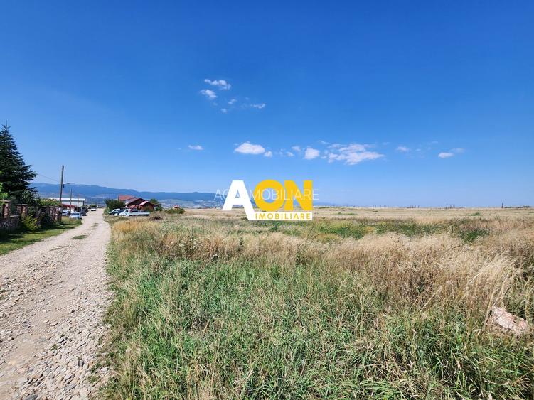 De vanzare 485 mp teren intravilan, Oarda de Sus - 2