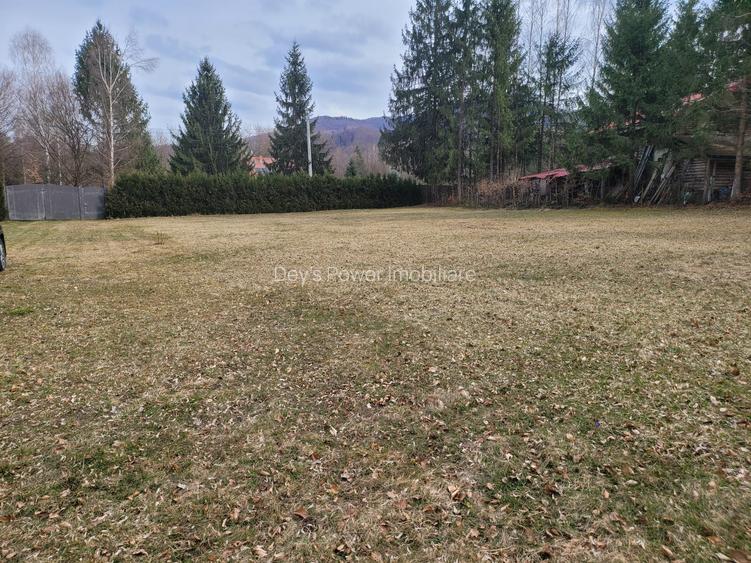 Cabana de vanzare ,Valea Avrigului/ 3000 mp/Langa padure - 22