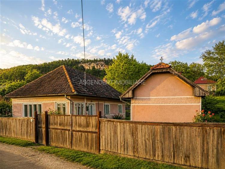 FILM! Gospodarie cu atmosfera traditionala,1.032 mp de verde si gradinarit, Sanz - 13