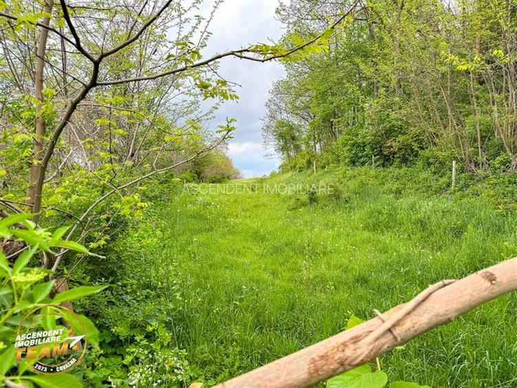 6.500 mp teren intravilan, la 10 min de orasul Covasna: Papauti - 5