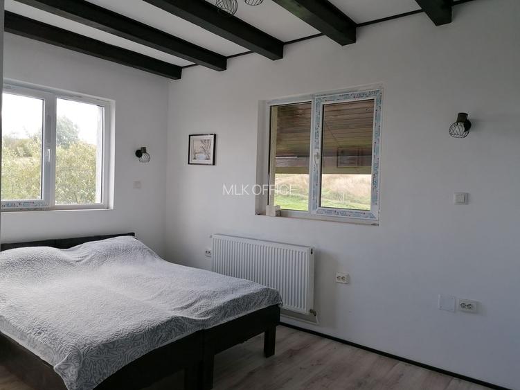 Imobil tip pensiune Dangau Mare - 6