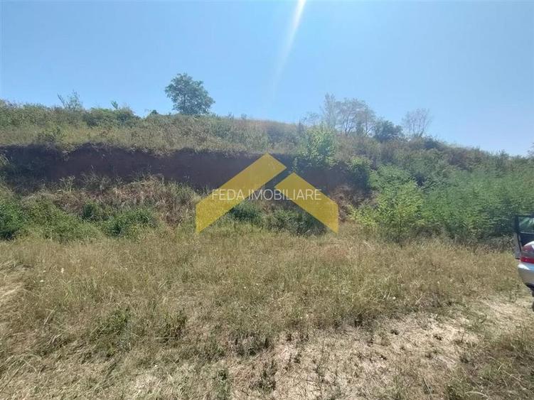 Teren intravilan pe deal Paulis, Arad - 4