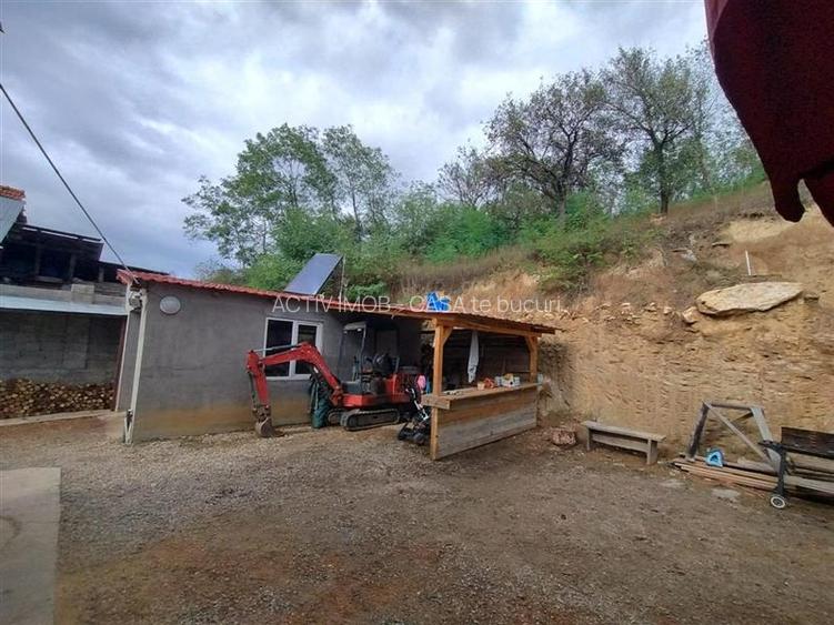Petrosnita, Casa la Curte cu Garaj si Teren de 900 Mp - 19