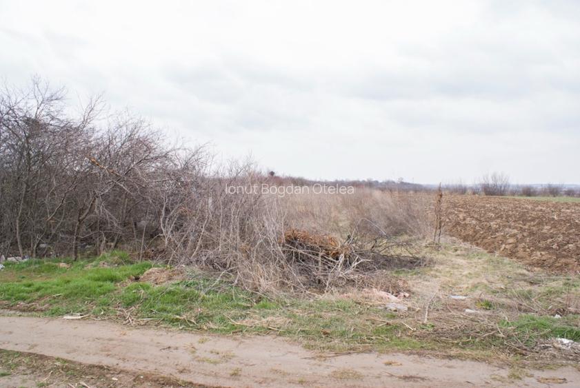 Teren intravilan de 982mp, comuna Adunatii Copaceni - 4