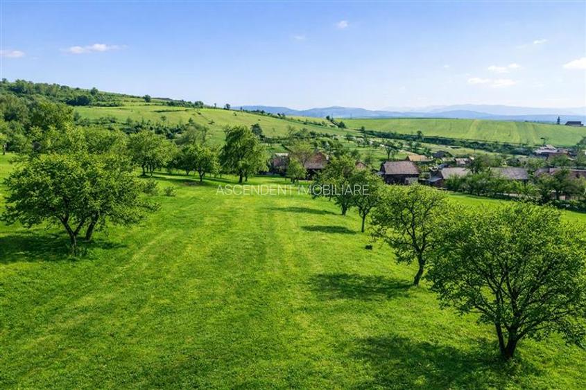 Film! Pe aproape 3.000 mp, casuta traditionala, Mereni, Covasna - 3