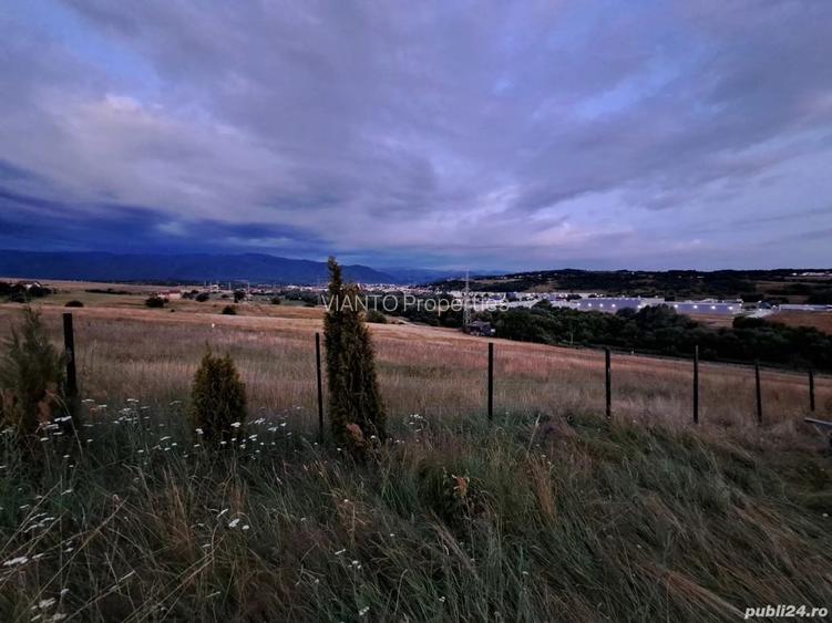 TEREN INTRAVILAN | 650 MP | CISNADIE - 5