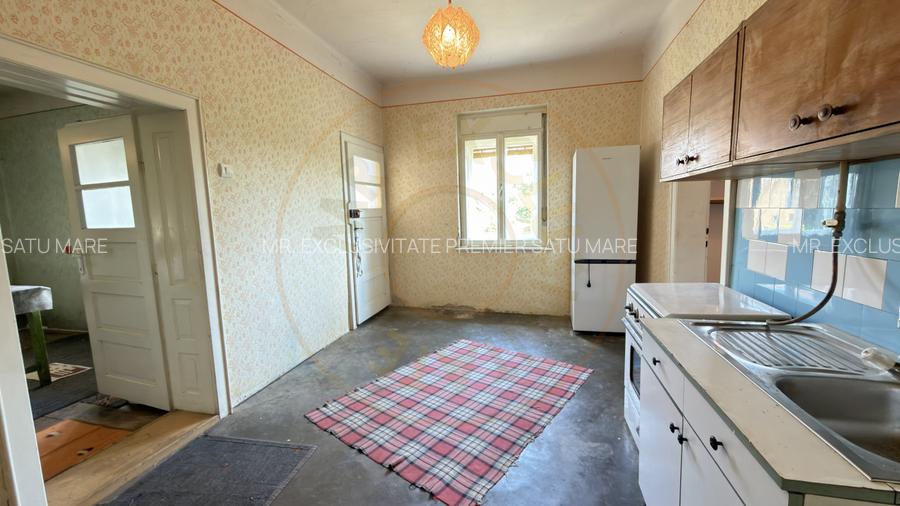 Casă 4 camere, Teren 1955 mp Str. Vezendiului Nr. 366 - Loc. Petrești, Satu Mare - 19