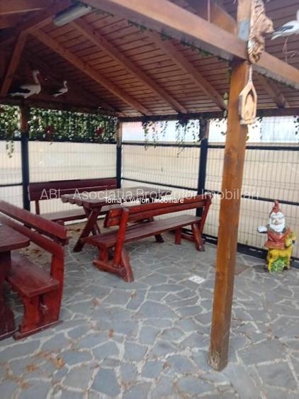 Vanzari Case / vile - 8