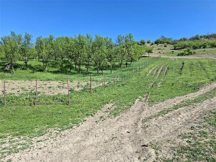 Teren Parcela 1900 mp intravilan Iclozel Iclod - 5