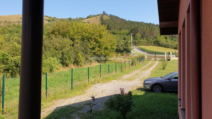 Vila in stil Californian 220mp / Panorama Superba / 4 dormitoare / 3000mp teren - 3