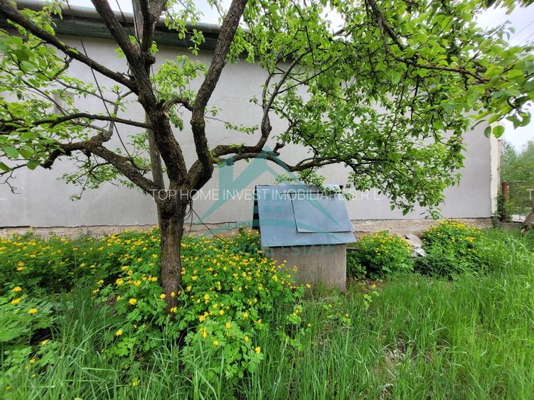 Exclusivitate! De vanzare casa cu 3 camere si teren de 1500mp, la Vlaha! - 9