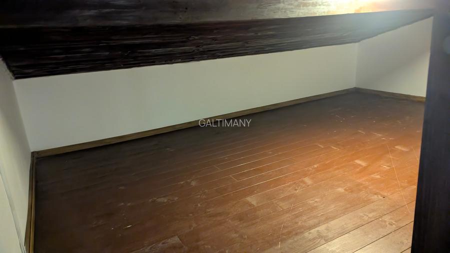 Vila P+1 Sector 1 Herastrau, Domenii, curte proprie, locuinta/birou/comercial - 19