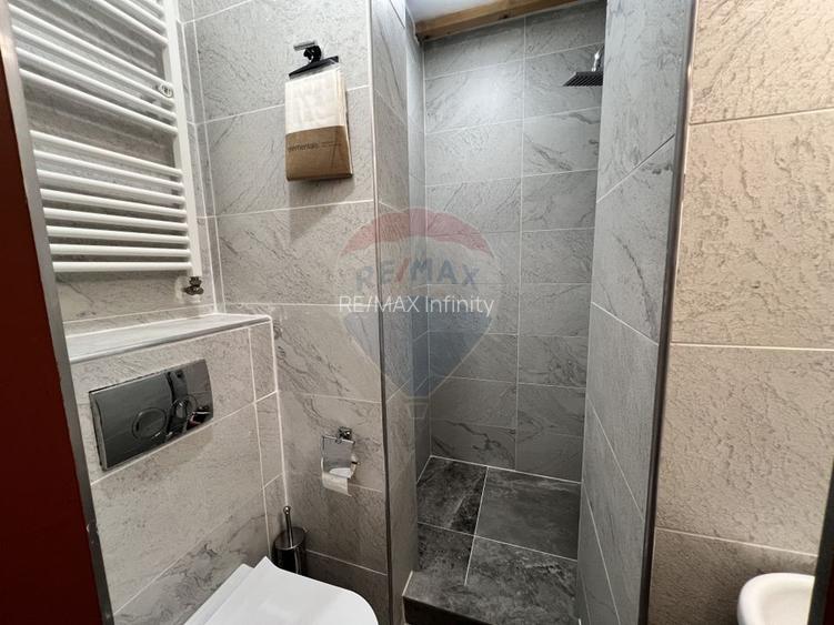 Penthouse cu 5 camere si terasa cu view de inchiriat in Grigorescu - 27