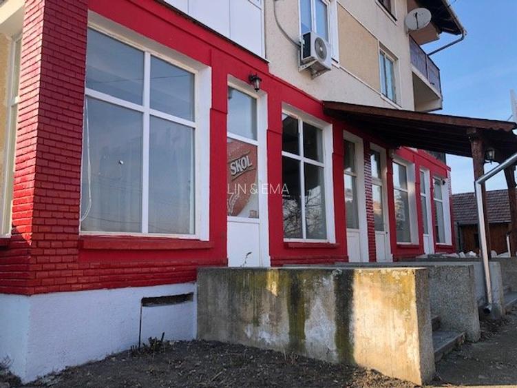 SPATIU COMERCIAL DAIA ROMANA - 3