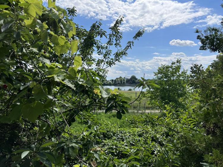 Casa-langa studiourile Buftea, 2 constructii, curte cu pomi, 2300mp, langa lac - 27