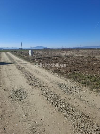 Teren pentru constructie cu utilitati si proiect casa - 2