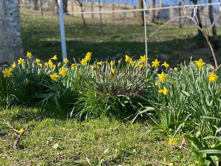 Casa demolabilă cu teren de vanzare in Breaza - 6