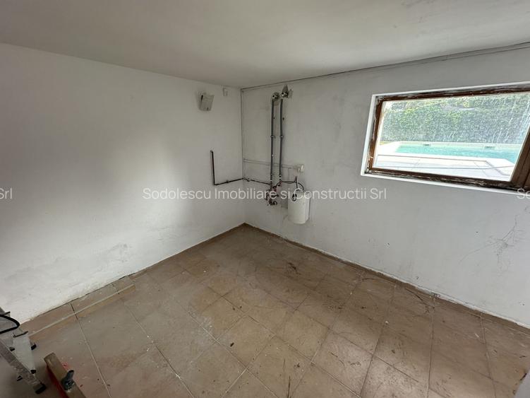 Proprietate cu piscina Dumbravita - 45