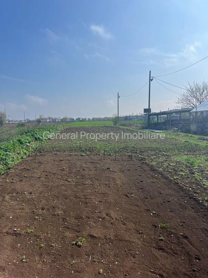 Teren TUNARI  600 mp - 6