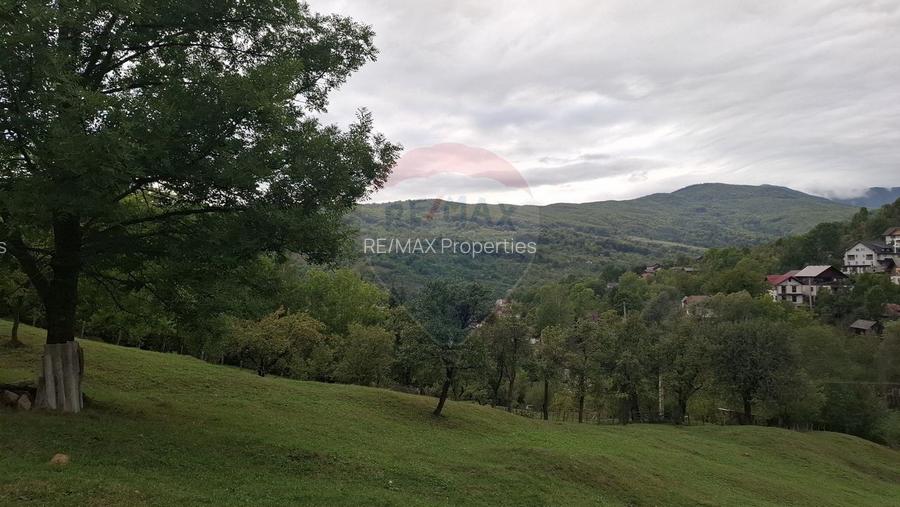 Teren cu priveliste spectaculoasa, 4000mp, la 18km de Sinaia - 9