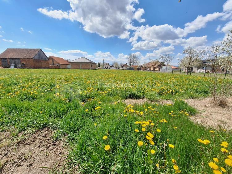 Teren de 1451 mp cu utilitati -  Haghig, jud. Covasna - 3