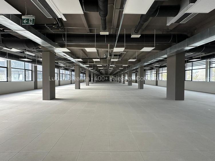 Spatii depozitare, restaurant, birouri, de la 400mp la 1600mp, zona C. Felicia - 9