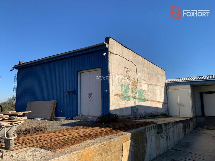 COMISION 0% Hala Industriala 500 mp cu Spatiu de Birou 200 mp in Buzias - 14