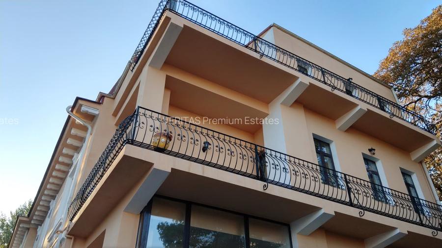 Casa impresionanta de vanzare Cotroceni, teren 680 mp, renovata, garaj dublu - 15