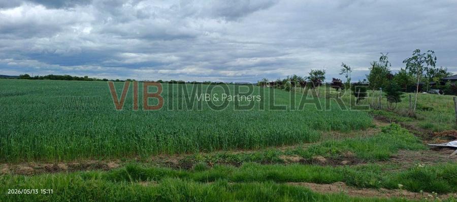 Teren Intravilan 31.900 mp, Corbeanca – Deschidere 70 ml, Zonă Rezidențială, Ide - 2