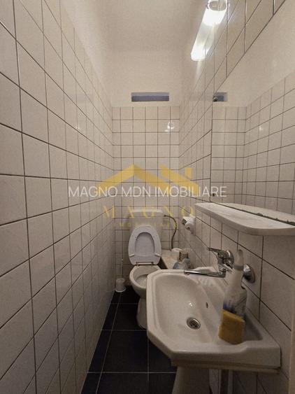 Apartament 4 camere+anexa 2 camere pe Malul Muresului/Str. Praporgescu - 21