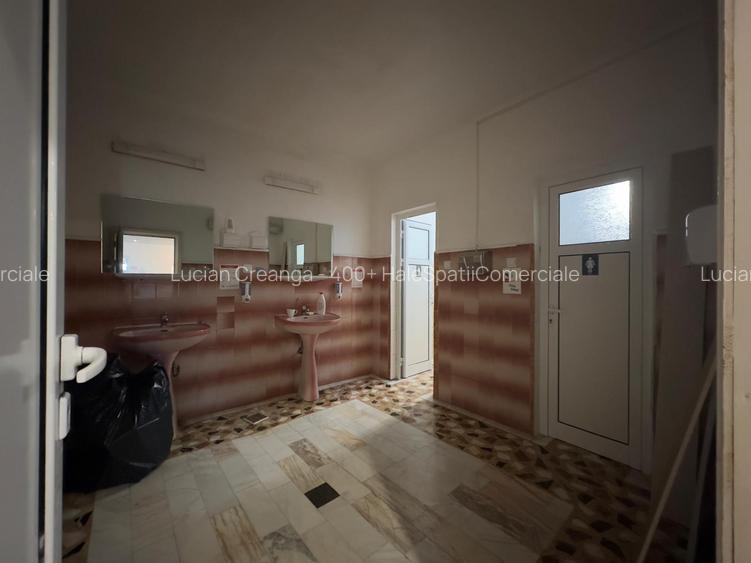 Spatiu birouri; vedere Palat Culturii; 100mp, Casa Cartii - 16