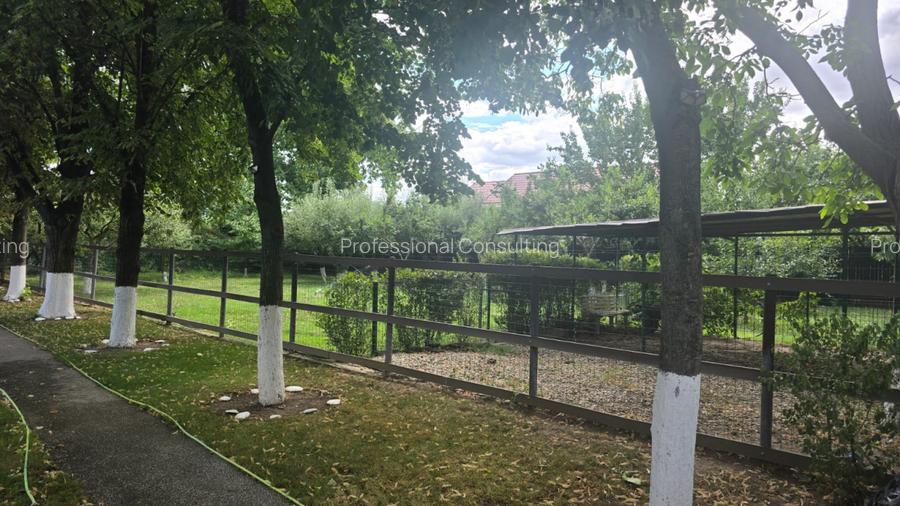 Vanzare Casa S+P+1, Snagov - Ghermanesti - 10