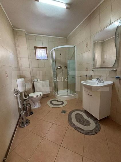 Casa cu destinatii multiple, 8900 mp teren, Vatra Moldovitei - 12