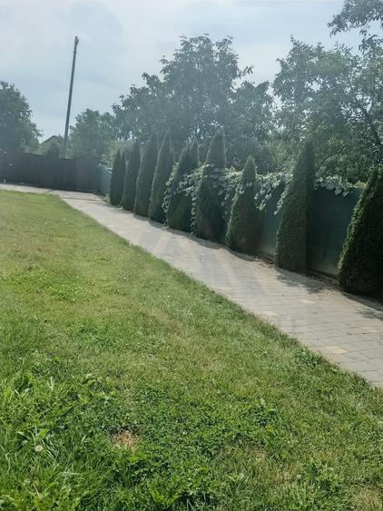 Casa individuala cu 6 camere garaj 22 mp si 650 mp teren in Piata Cluj