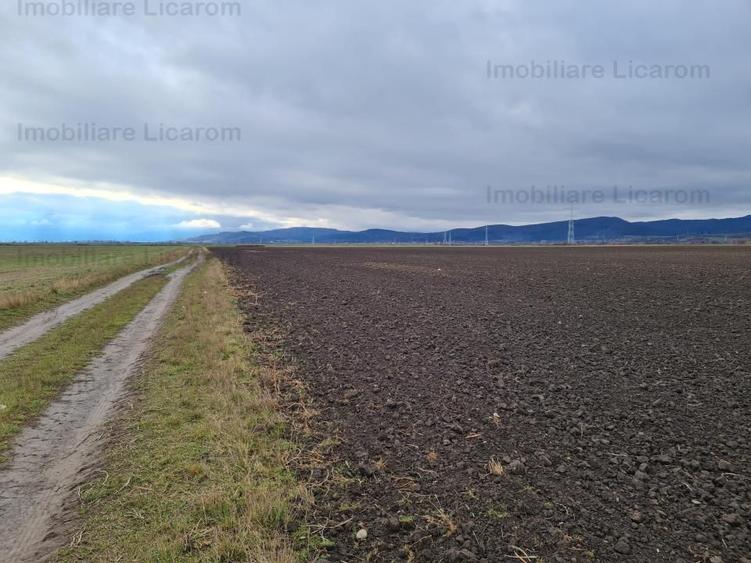 Teren extravilan 2,9 HA,intre Cristian si Vulcan