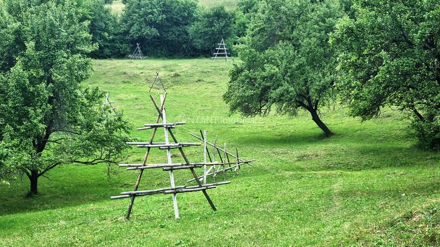 Vanzare Teren  construibil 5700mp Campul Lung Muscel - 6