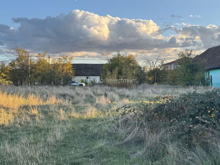 Teren Intravilan in Zona Semicentrala, Becicherecu Mic,2118 mp,Fs. 18m - 4