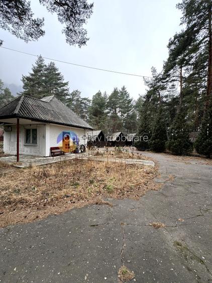 Teren Piatra Neamt - zona strand ideal pentru Hotel - 7