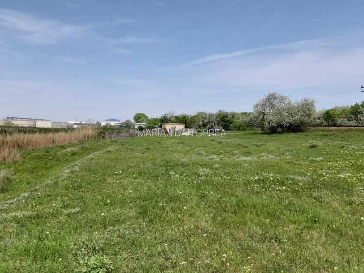 Vand Teren 25m Deschidere Directa la Lac, Intravilan-Construibil, 700mp(25x28m) - 5