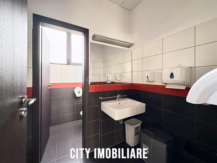 Spatiu birouri 205 mp + terasa 69 mp, Str. Dorobantilor, 2 parcari - 11