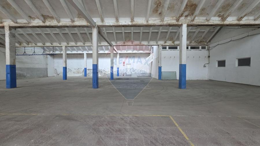 Inchiriere hale industriale lângă Brașov, Prejmer, Lunca Calnicului - 14