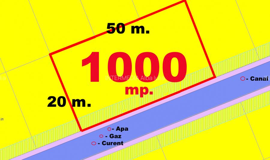 1000 mp Teren intravilan Alba Micesti Orizont deschidere 50 m. toate utilitatile - 5