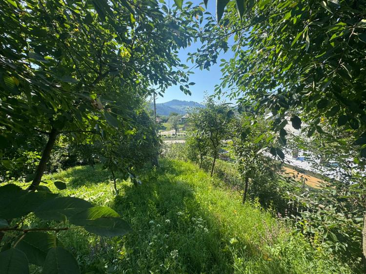 Vanzare casa locuibila in Frasin Gura Humorului - vedere panoramica/utilitati - 5