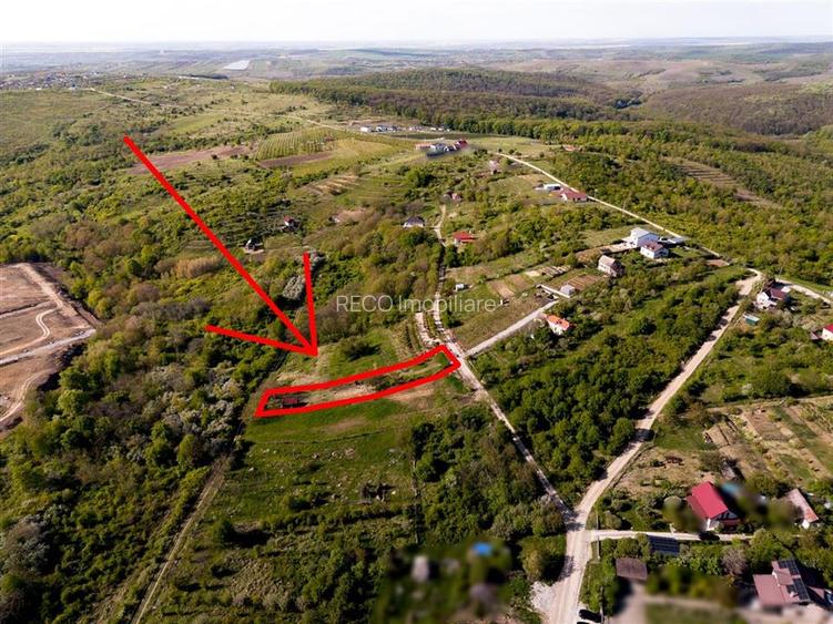 RECO Teren intravilan in Saldabagiu de munte zona Gheorghe Doja - 6