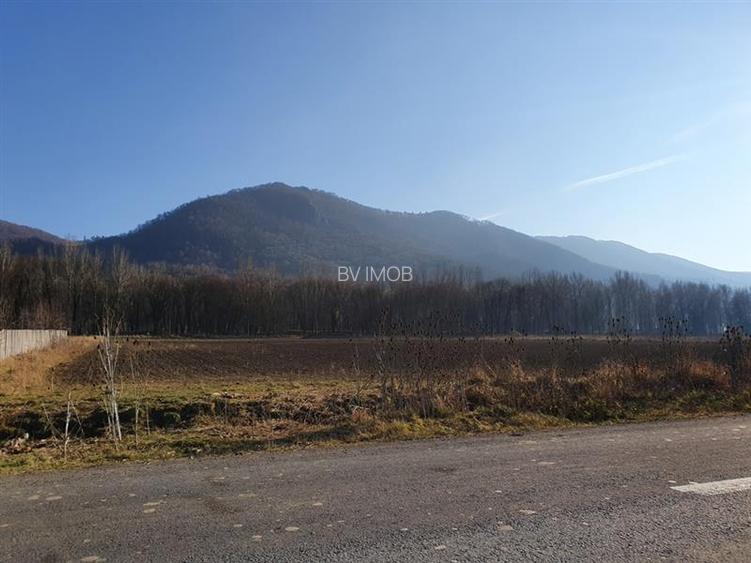 Vanzare Teren intravilan Str. Cucului, zona Bartolomeu 18600 mp - 3