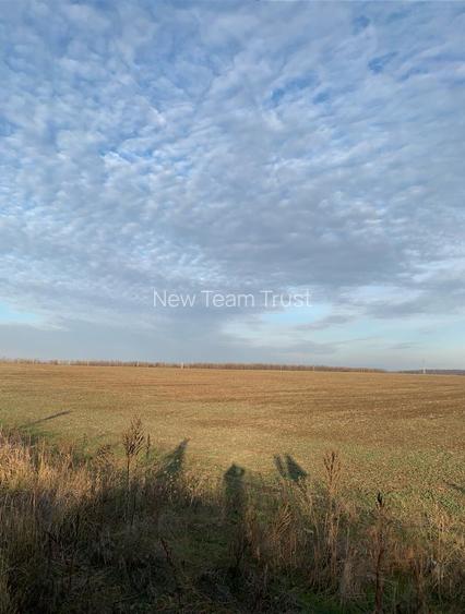 Pantelimon Centura  Vanzare Teren Suprafata Compacta 71 889mp - 3