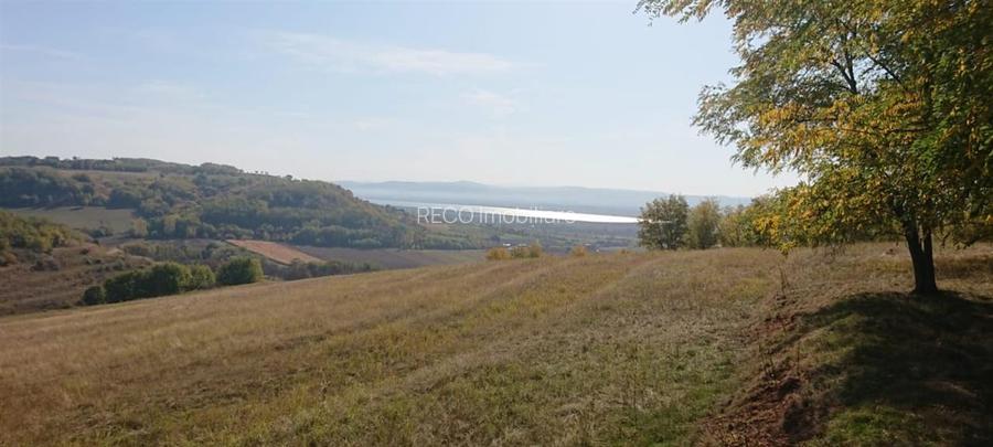 Reco  Teren extravilan Tileagd - 8