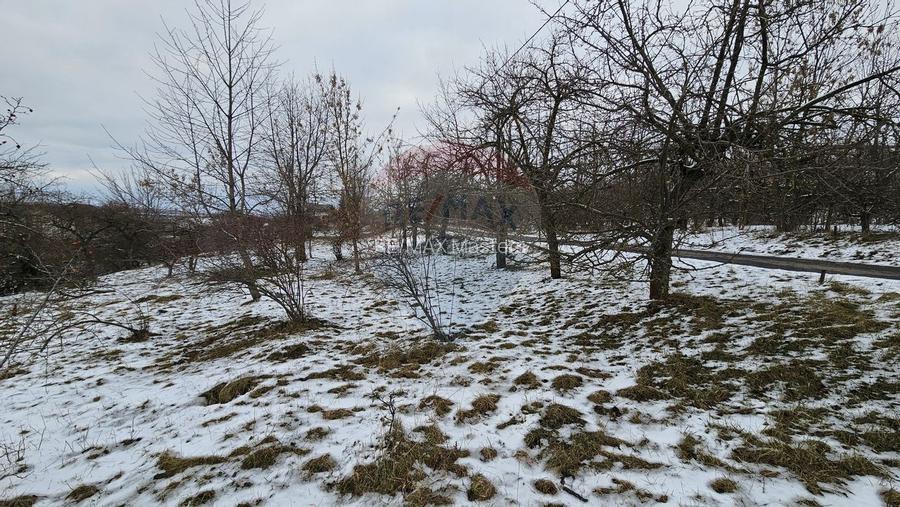 Teren 10,000mp Radaseni / Soseaua DN2-E85, judetul Suceava - 17