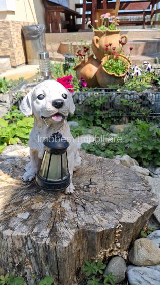 Pensiune, oportunitate excelenta de investitie - 18